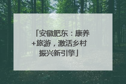 安徽肥东：康养+旅游，激活乡村振兴新引擎