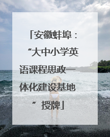 安徽蚌埠：“大中小学英语课程思政一体化建设基地”授牌