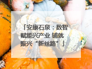 安康石泉：数智赋能兴产业 铺就振兴“新丝路”