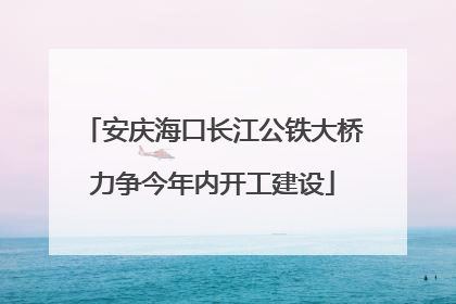 安庆海口长江公铁大桥力争今年内开工建设