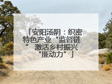 安阳汤阴：织密特色产业“监督链” 激活乡村振兴“廉动力”