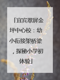 宜宾翠屏金坪中心校：幼小衔接架桥梁，探秘小学初体验