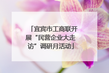 宜宾市工商联开展“民营企业大走访”调研月活动