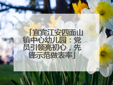 宜宾江安四面山镇中心幼儿园：党员引领亮初心，先锋示范做表率