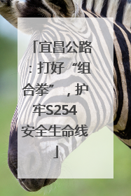 宜昌公路：打好“组合拳”，护牢S254安全生命线