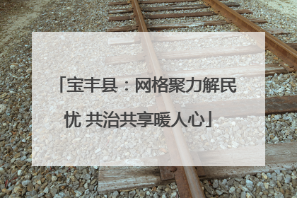宝丰县：网格聚力解民忧 共治共享暖人心