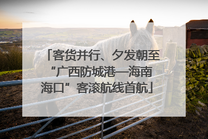 客货并行、夕发朝至 “广西防城港—海南海口”客滚航线首航