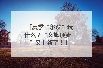 夏季“尔滨”玩什么？“文旅顶流”又上新了！