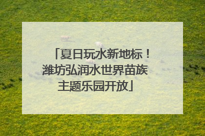 夏日玩水新地标！潍坊弘润水世界苗族主题乐园开放