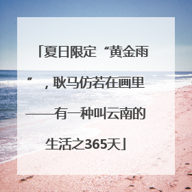 夏日限定“黄金雨”，耿马仿若在画里——有一种叫云南的生活之365天