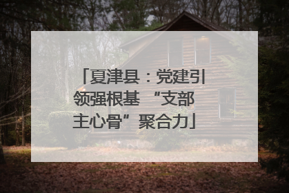 夏津县：党建引领强根基 “支部主心骨”聚合力