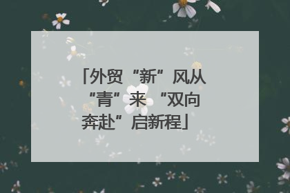 外贸“新”风从“青”来 “双向奔赴”启新程
