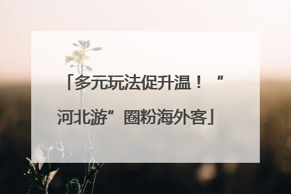 多元玩法促升温！“河北游”圈粉海外客