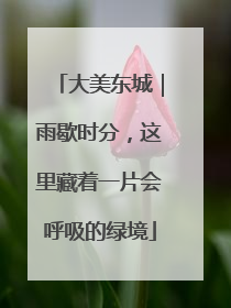 大美东城｜雨歇时分，这里藏着一片会呼吸的绿境