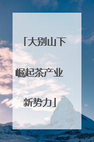 大别山下崛起茶产业新势力