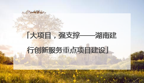 大项目，强支撑——湖南建行创新服务重点项目建设