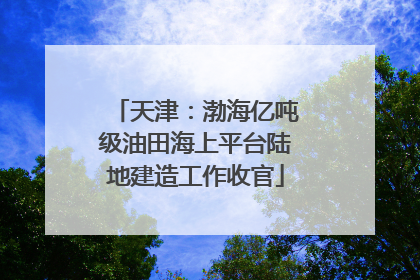 天津：渤海亿吨级油田海上平台陆地建造工作收官
