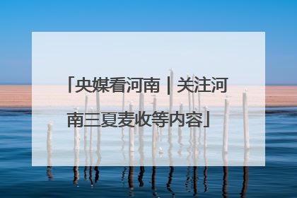 央媒看河南｜关注河南三夏麦收等内容