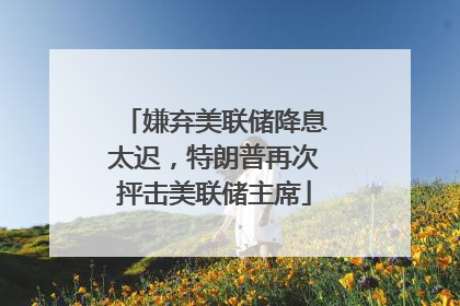 嫌弃美联储降息太迟，特朗普再次抨击美联储主席