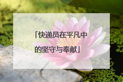 快递员在平凡中的坚守与奉献