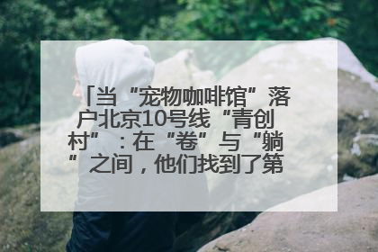 当“宠物咖啡馆”落户北京10号线“青创村”：在“卷”与“躺”之间，他们找到了第三种生活公式