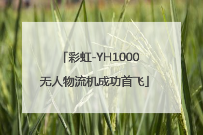 彩虹-YH1000无人物流机成功首飞