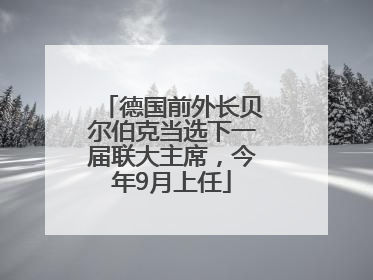 德国前外长贝尔伯克当选下一届联大主席，今年9月上任