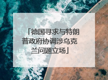 德国寻求与特朗普政府协调涉乌克兰问题立场