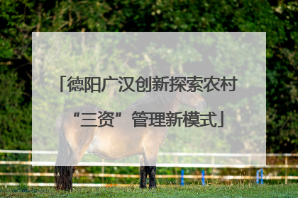 德阳广汉创新探索农村“三资”管理新模式