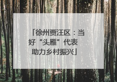 徐州贾汪区：当好“头雁”代表 助力乡村振兴