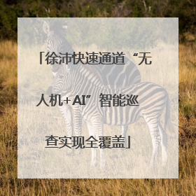 徐沛快速通道“无人机+AI”智能巡查实现全覆盖