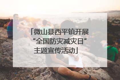 微山县西平镇开展“全国防灾减灾日”主题宣传活动