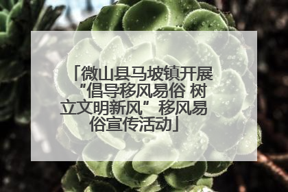 微山县马坡镇开展“倡导移风易俗 树立文明新风”移风易俗宣传活动