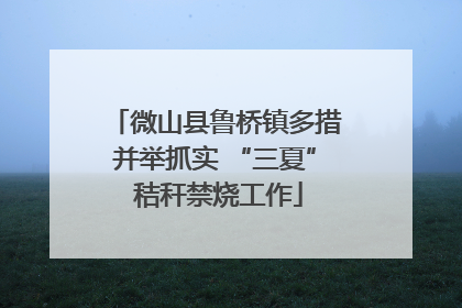 微山县鲁桥镇多措并举抓实 “三夏” 秸秆禁烧工作