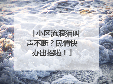 小区流浪猫叫声不断？民情快办出招啦！