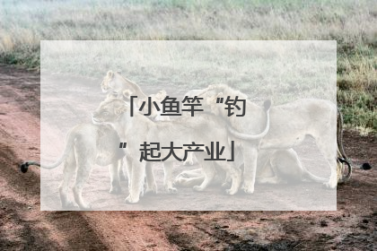 小鱼竿“钓”起大产业
