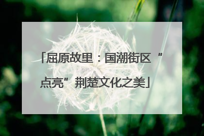 屈原故里：国潮街区“点亮”荆楚文化之美