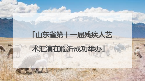 山东省第十一届残疾人艺术汇演在临沂成功举办