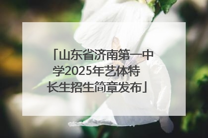 山东省济南第一中学2025年艺体特长生招生简章发布