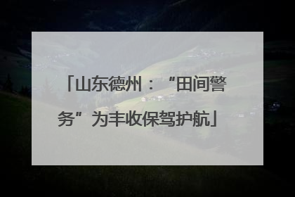 山东德州：“田间警务”为丰收保驾护航