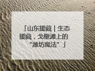 山东援藏｜生态援藏，戈壁滩上的“潍坊魔法”