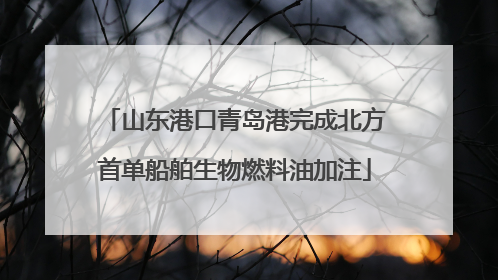山东港口青岛港完成北方首单船舶生物燃料油加注
