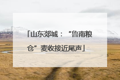 山东郯城：“鲁南粮仓”麦收接近尾声