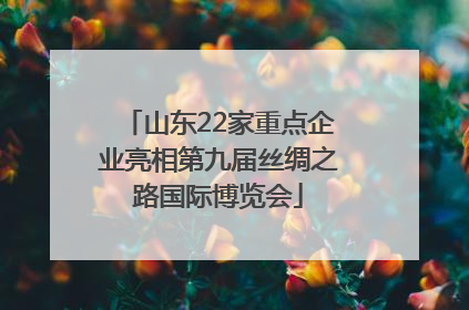 山东22家重点企业亮相第九届丝绸之路国际博览会