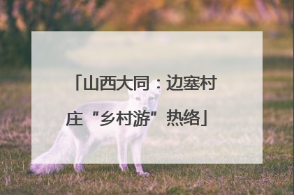 山西大同：边塞村庄“乡村游”热络