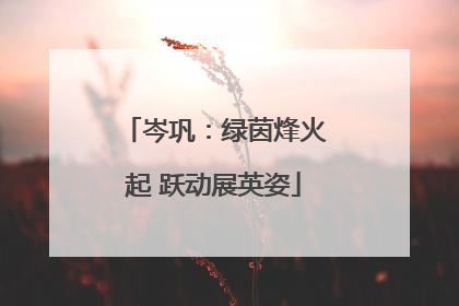 岑巩：绿茵烽火起 跃动展英姿