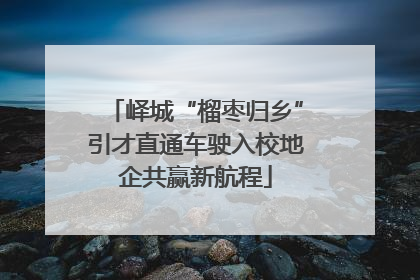 峄城“榴枣归乡”引才直通车驶入校地企共赢新航程