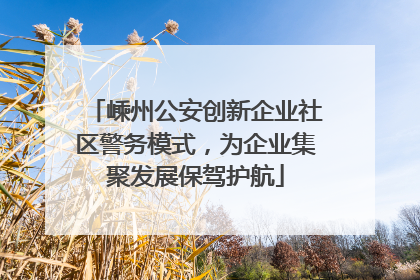 嵊州公安创新企业社区警务模式，为企业集聚发展保驾护航