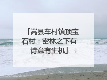 嵩县车村镇顶宝石村：密林之下有诗意有生机