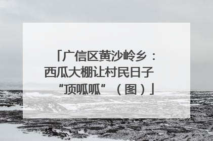 广信区黄沙岭乡：西瓜大棚让村民日子“顶呱呱”（图）